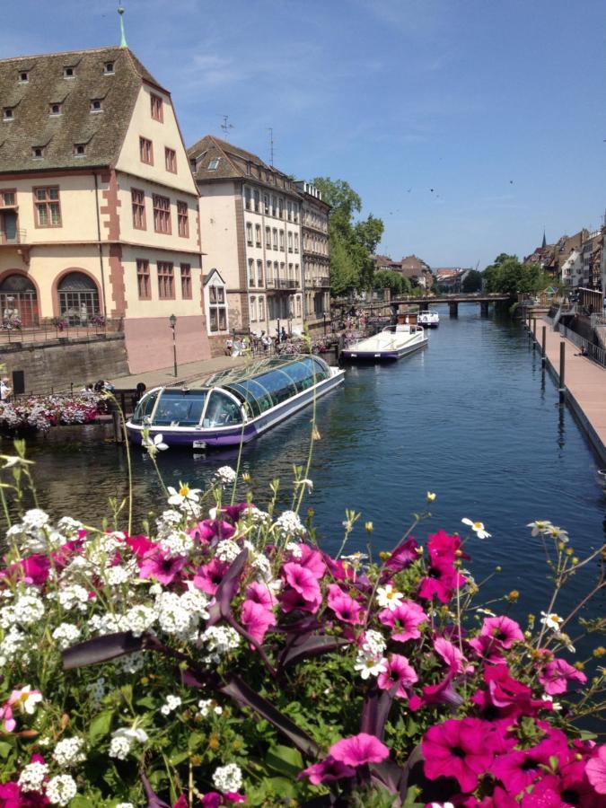 L'Ecluse - Studio Cosy, Calme, Hyper-Centre Strasbourg Luaran gambar
